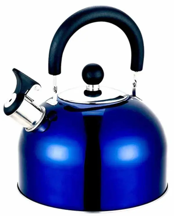 Olpro 2 Litre Stainless Steel Whistling Kettle (Blue)